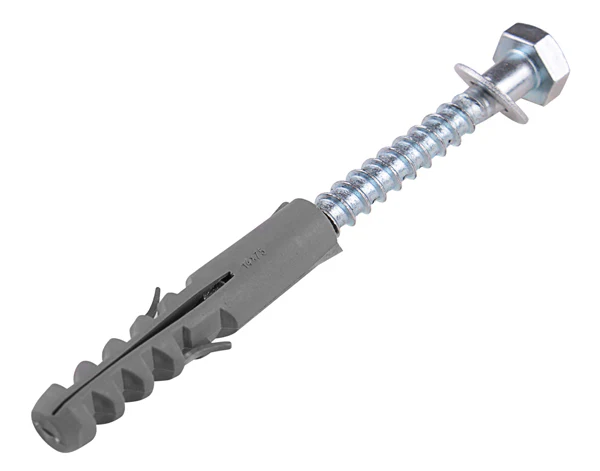 Single Coach Bolt with Washer and Rawl Plug